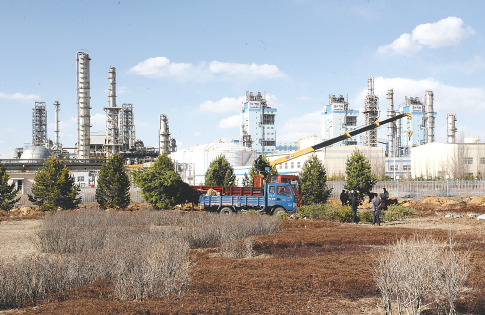 黑珍珠平台游戏界面